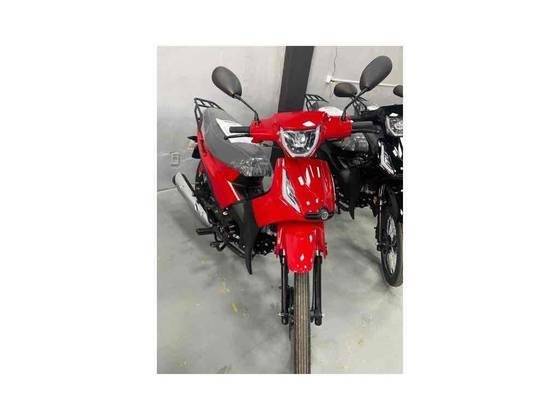 SHINERAY PHOENIX S 50 SHINERAY PHOENIX S 50